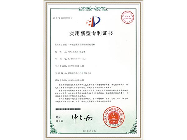 實(shí)用新型專利證書 (4)